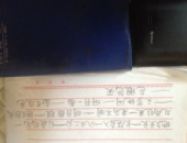 底字开头的成语,成语中的智慧之光”