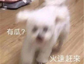 娱乐圈吃瓜聊天记录图片,聊天记录图片揭露惊人内幕