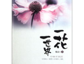 花一半叶一半打一字谜,探寻‘花一半叶一半的汉字奥秘”